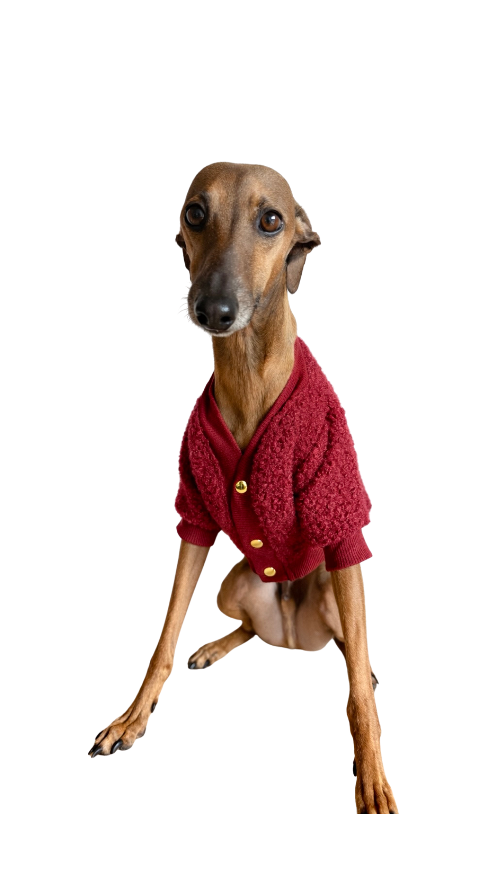 Cardigan vino tinto