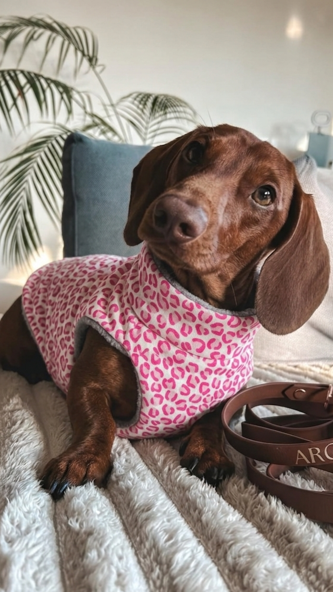 Chaleco acolchado animal print fucsia