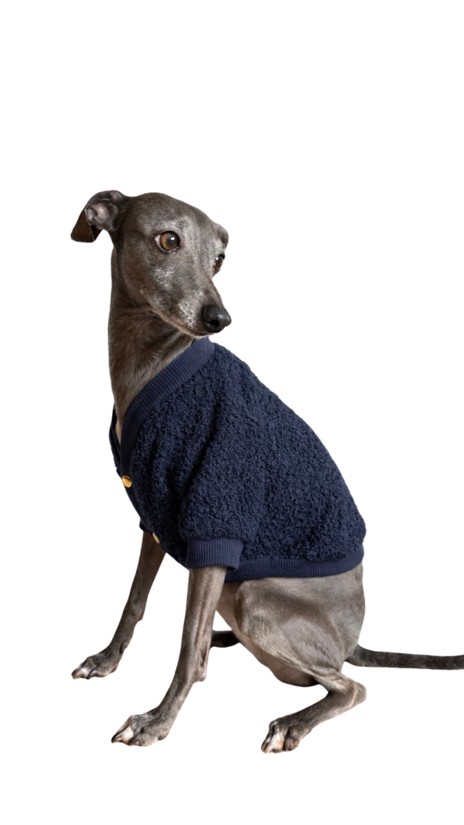 Cardigan azul